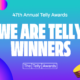 Strategic Arc Wins at 47th Annual Telly Awards